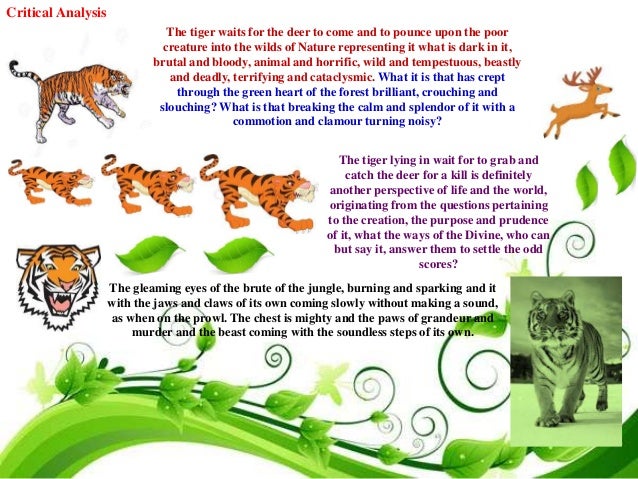 the tiger and deer by aurobindo ghosh If lucky you may get to see wild elephants, nilgiri langur, sambar deer, wild for meditation and spiritual learning named after guru sri aurobindo ghosh. the tiger and deer by aurobindo ghosh If lucky you may get to see wild elephants, nilgiri langur, sambar deer, wild for meditation and spiritual learning named after guru sri aurobindo ghosh.