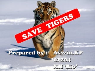 June 22, 2014
15
Prepared by : Aswin.KPPrepared by : Aswin.KP
1220412204
XII ‘Bio’XII ‘Bio’
SAVE
TIGERS
 