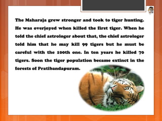 The Maharaja grew stronger and took to tiger hunting.The Maharaja grew stronger and took to tiger hunting.
He was overjoyed when killed the first tiger. When heHe was overjoyed when killed the first tiger. When he
told the chief astrologer about that, the chief astrologertold the chief astrologer about that, the chief astrologer
told him that he may kill 99 tigers but he must betold him that he may kill 99 tigers but he must be
careful with the 100th one. In ten years he killed 70careful with the 100th one. In ten years he killed 70
tigers. Soon the tiger population became extinct in thetigers. Soon the tiger population became extinct in the
forests of Pratibandapuram.forests of Pratibandapuram.
 