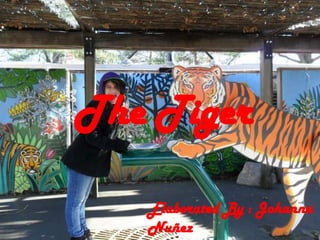 The Tiger ElaboratedBy : JohannaNuñez 