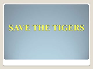 SAVE THE TIGERS

 