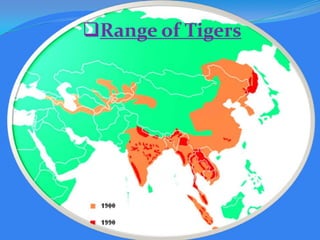 Range of Tigers

 