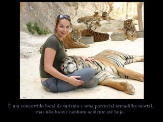 É um concorrido local de turismo e uma potencial armadilha mortal, mas não houve nenhum acidente até hoje.   