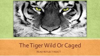 TheTigerWild Or Caged
READ REFLECT REACT
 