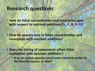 Research questions
• How do foliar concentration and resorption vary
with respect to nutrient additions (N, P, & N+P)?
• H...