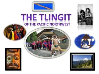 The Tlingit Of the Pacific Northwest 