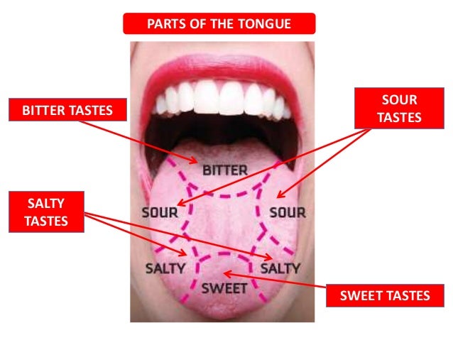 Resultado de imagen de the tongue