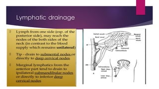 Lymphatic drainage
 