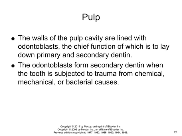 Nomenclature: The tooth functions and terms | PPT