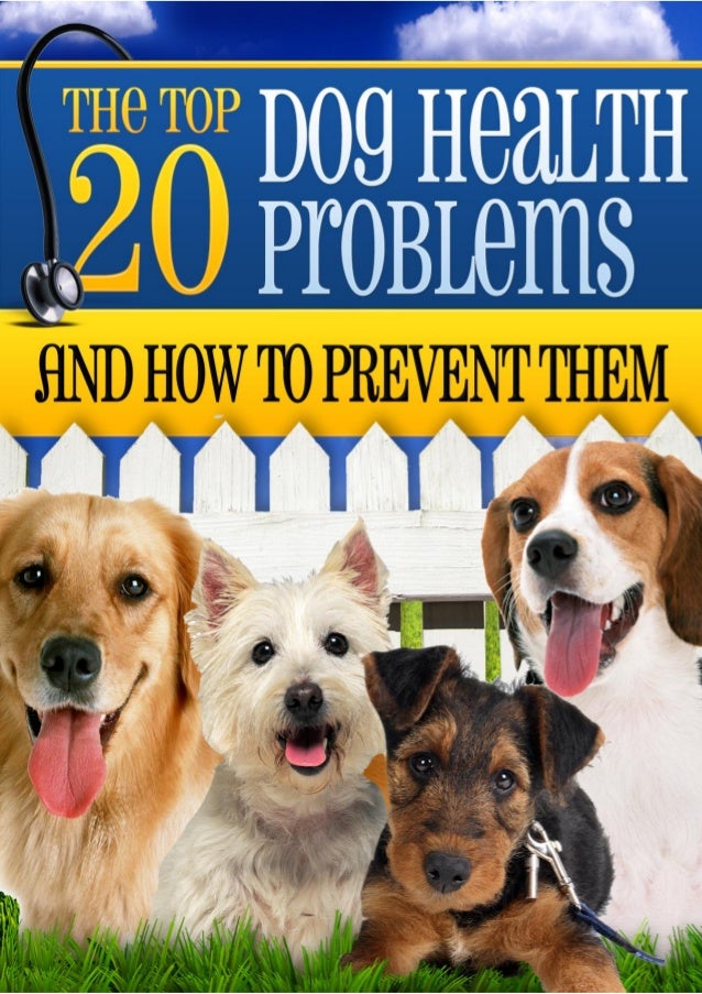 The top 20 dog health problems Dog training by