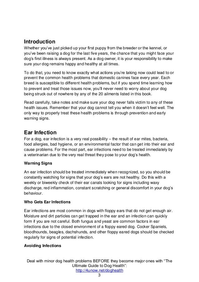 The top 20 dog health problems Dog training by