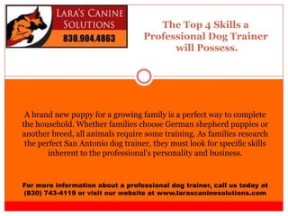 The Top 4 Skills a
Professional Dog Trainer
will Possess.
For more information about a professional dog trainer, call us today at
(830) 743-4119 or visit our website at www.larascaninesolutions.com
A brand new puppy for a growing family is a perfect way to complete
the household. Whether families choose German shepherd puppies or
another breed, all animals require some training. As families research
the perfect San Antonio dog trainer, they must look for specific skills
inherent to the professional's personality and business.
 
