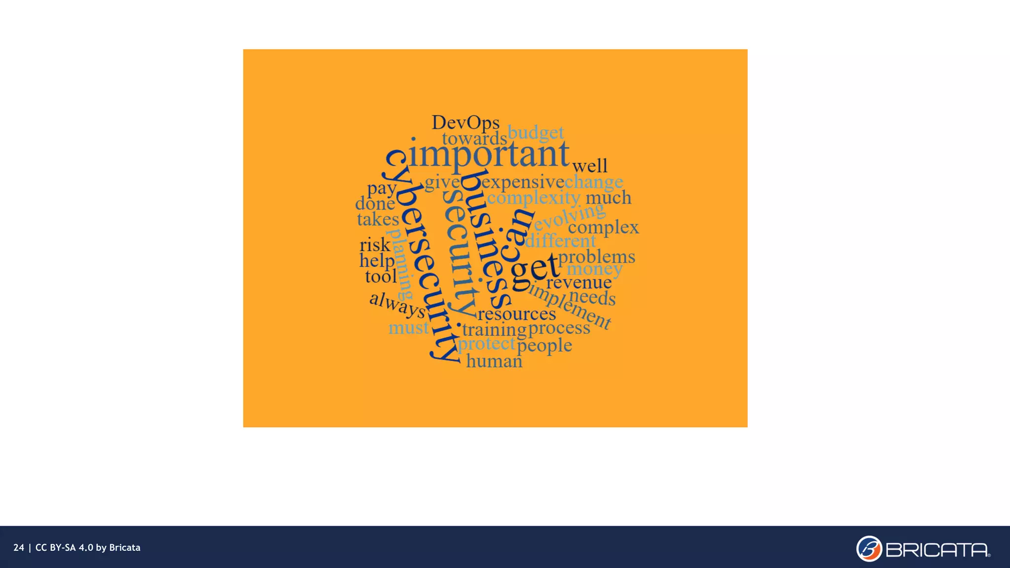 | 24
24 | CC BY-SA 4.0 by Bricata
 