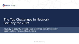The Top Challenges in Network
Security for 2019
A survey of security professionals identifies network security
opportunities, risks and benchmarks
CC BY-SA 4.0 by Bricata
 