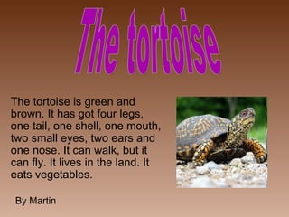 The tortoise is green and brown. It has got four legs, one tail, one shell, one mouth, two small eyes, two ears and one nose. It can walk, but it can fly. It lives in the land. It eats vegetables. The tortoise By Martin 