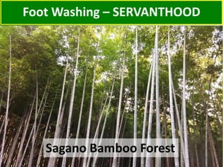Foot Washing – SERVANTHOOD
Sagano Bamboo Forest
 