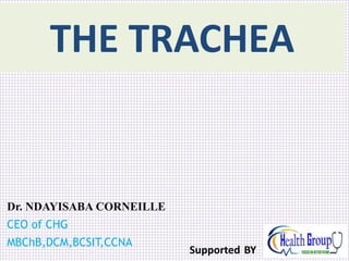 Dr. NDAYISABA CORNEILLE
CEO of CHG
MBChB,DCM,BCSIT,CCNA
THE TRACHEA
Supported BY
 
