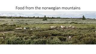 Food from the norwegian mountains
 