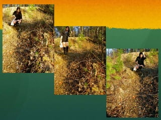 The trail back home outtake presentation