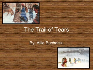 The Trail of Tears By: Allie Buchalski 