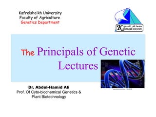 The Principals of Genetic
Lectures
Kafrelsheikh University
Faculty of Agriculture
Genetics Department
Dr. Abdel-Hamid Ali
Prof. Of Cyto-biochemical Genetics &
Plant Biotechnology
 