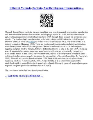 The Transformation Of E. Coli | PDF
