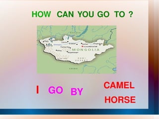 HOW   CAN YOU GO TO ? I GO BY CAMEL HORSE 