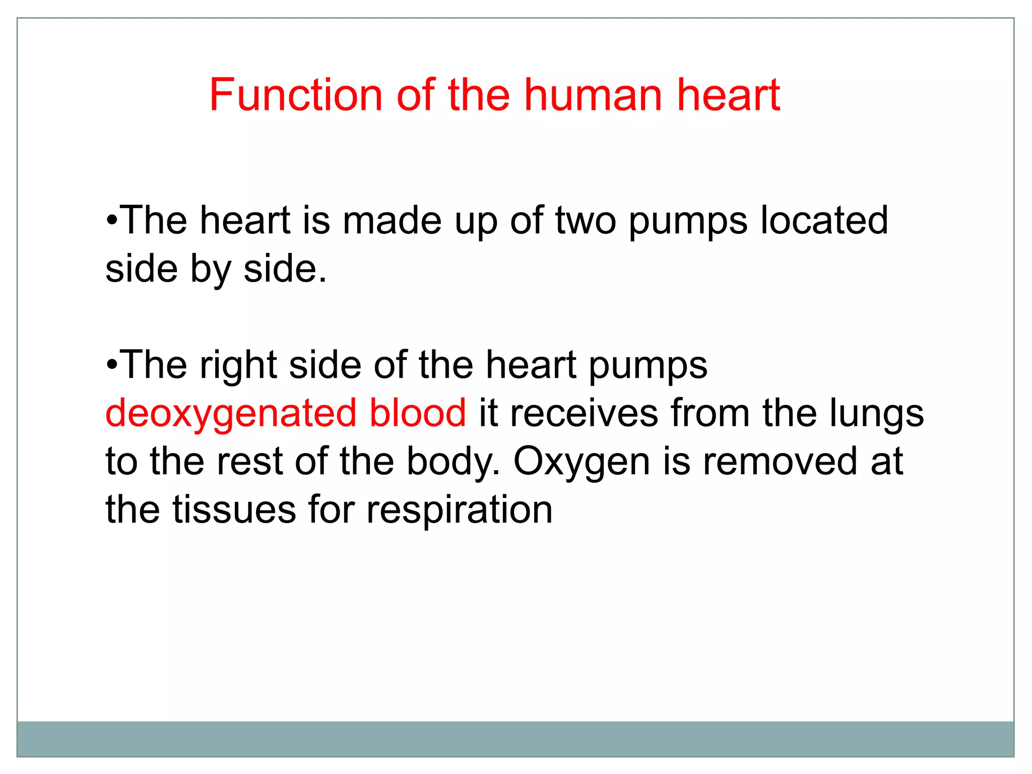 Function of the human heart
•The heart is made up of two pumps located
side by side.
•The right side of the heart pumps
deoxygenated blood it receives from the lungs
to the rest of the body. Oxygen is removed at
the tissues for respiration
 