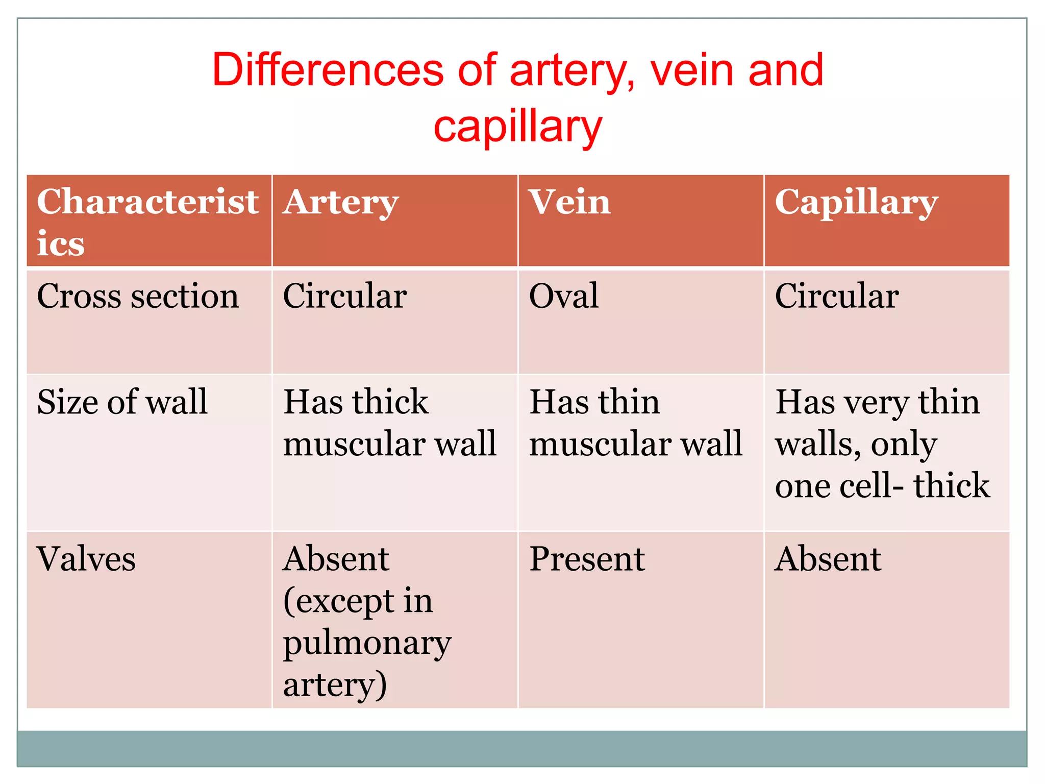 Characterist
ics
Artery Vein Capillary
Cross section Circular Oval Circular
Size of wall Has thick
muscular wall
Has thin
muscular wall
Has very thin
walls, only
one cell- thick
Valves Absent
(except in
pulmonary
artery)
Present Absent
Differences of artery, vein and
capillary
 