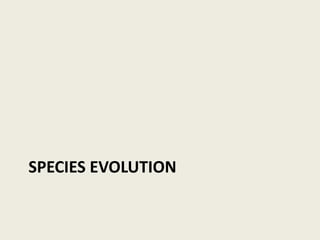 SPECIES EVOLUTION 
 