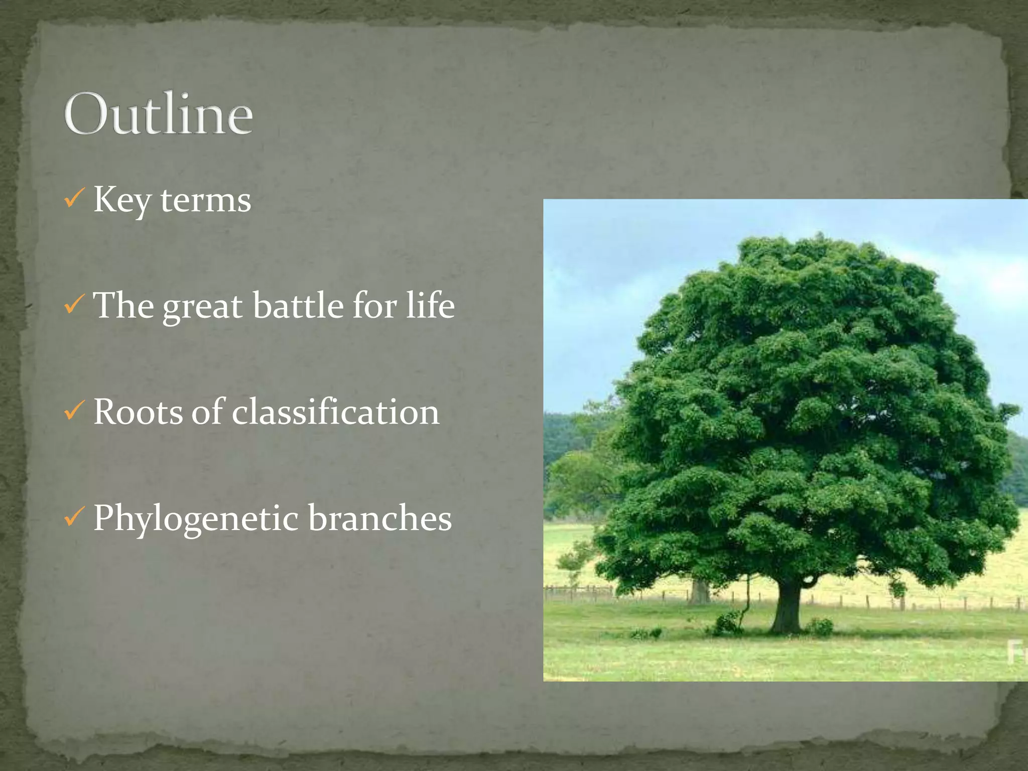  Key terms


 The great battle for life


 Roots of classification


 Phylogenetic branches
 