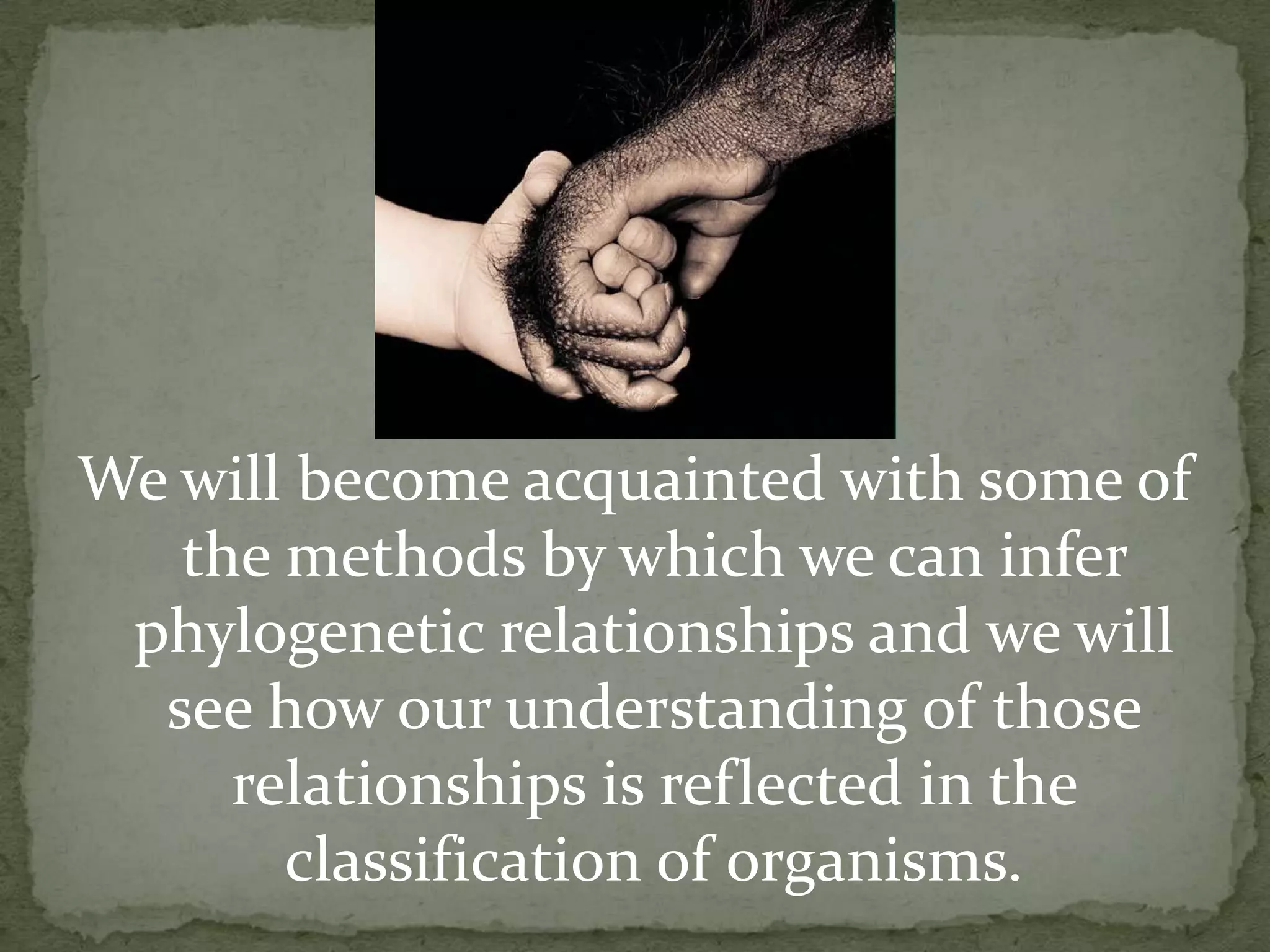 We will become acquainted with some of
   the methods by which we can infer
 phylogenetic relationships and we will
  see how our understanding of those
     relationships is reflected in the
       classification of organisms.
 