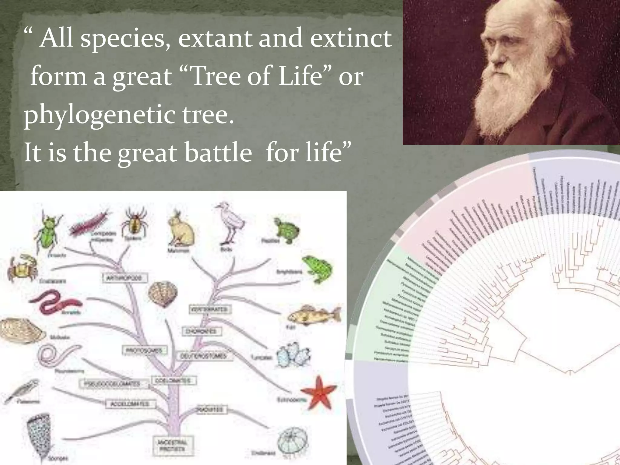 “ All species, extant and extinct
 form a great “Tree of Life” or
phylogenetic tree.
It is the great battle for life”
 