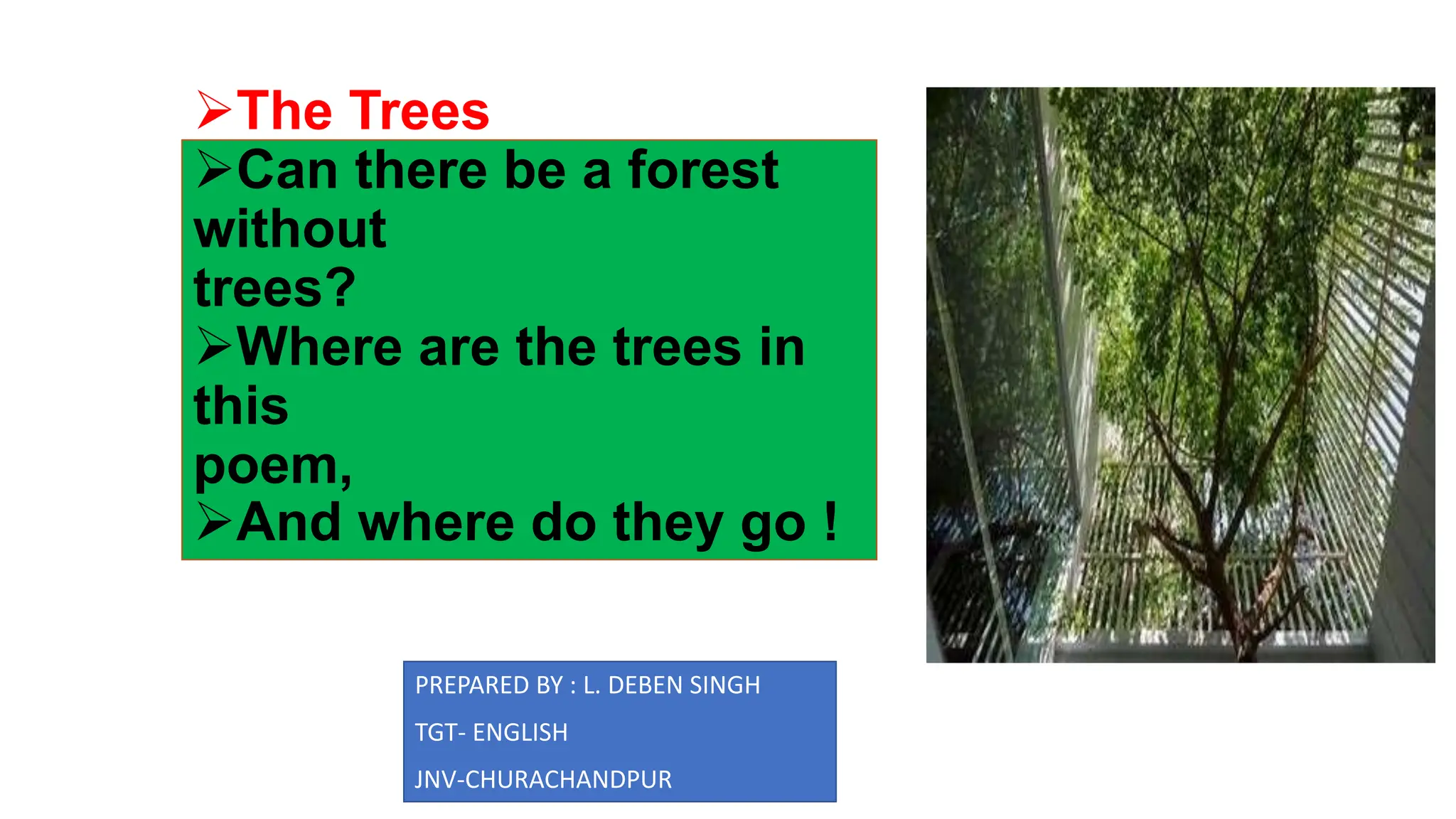 the-trees-pptx