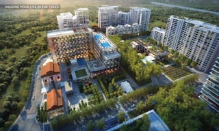 IMAGINE YOUR LIFE IN THE TREES
 