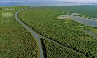 Vikhroli is a special place,
nestled amidst greenery and
the largest mangrove belt in the
city. The Group’s unwavering
stewardship of the mangroves
provides a vital green lung for
Mumbai - our promise to keep
that is now an integral part of
your life at the Trees.
THE GREEN HEART
ACTUAL VIEW FROM SITE
VIKHROLI UNFOLDS | 13
 