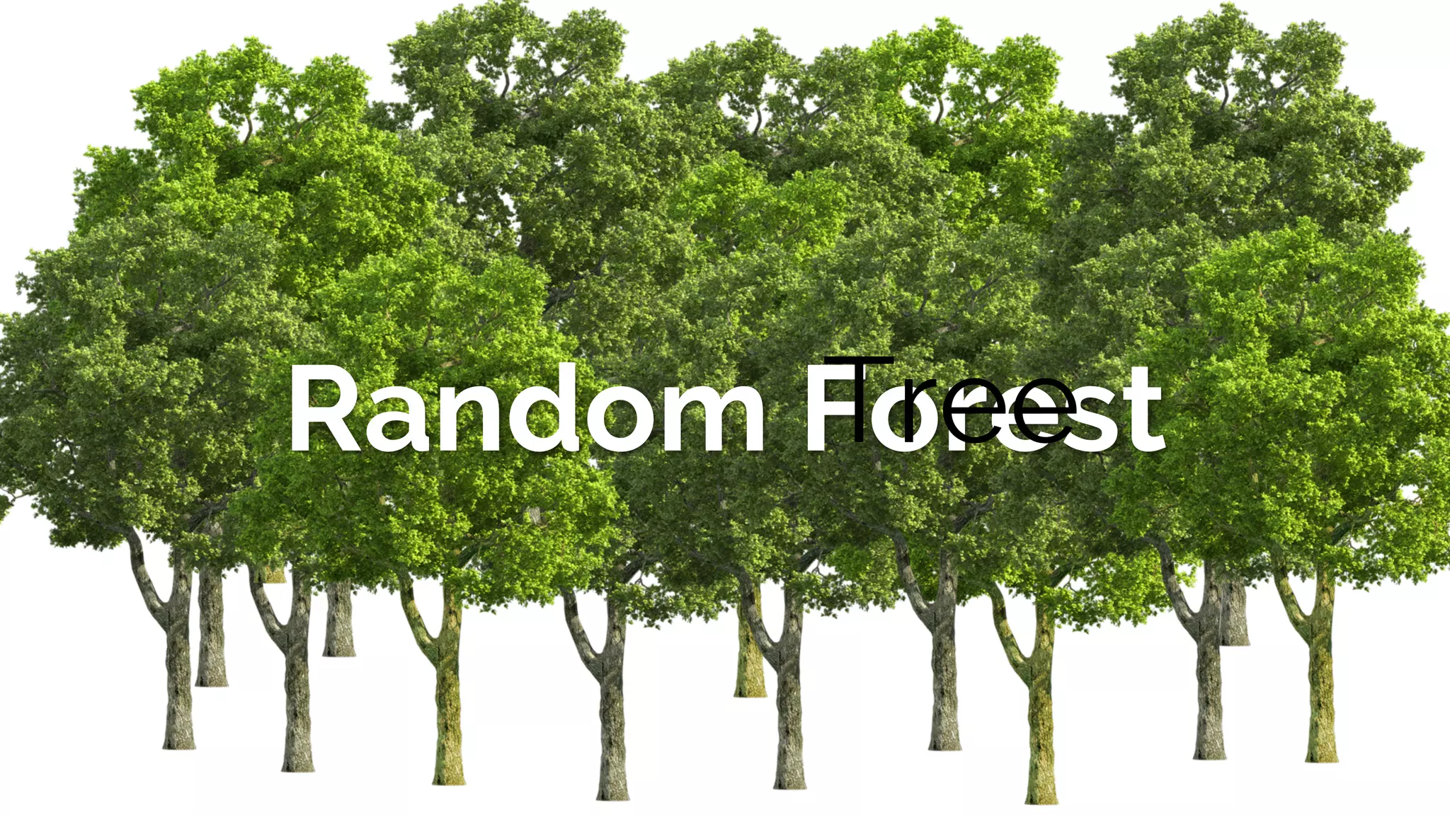 Random ForestTree
 