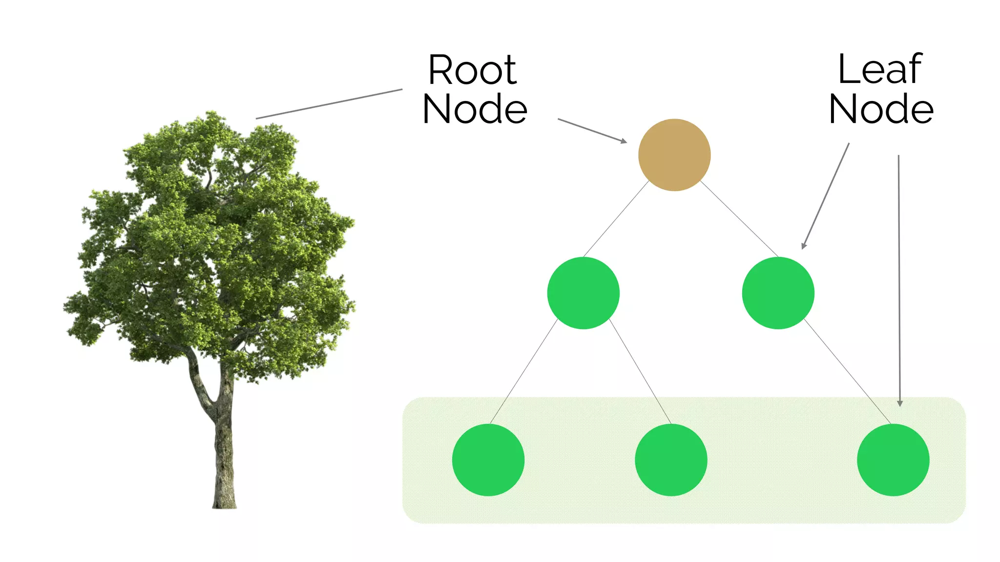 Node
Root
Node
Leaf
 