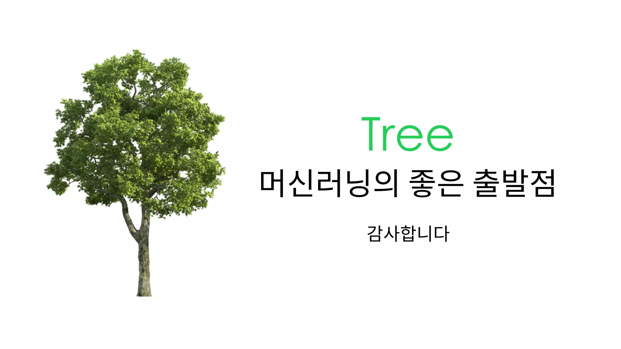Tree
머신러닝의 좋은 출발점
감사합니다
 