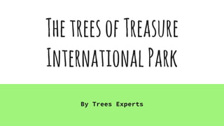 ThetreesofTreasure
InternationalPark
By Trees Experts
 