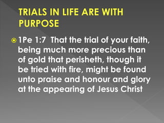  1Pe 1:7 That the trial of your faith,
being much more precious than
of gold that perisheth, though it
be tried with fire, might be found
unto praise and honour and glory
at the appearing of Jesus Christ
 