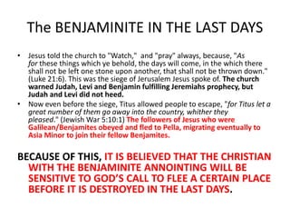 Spiritual Meaning Of Benjamin In Biblical Context – GPJJO