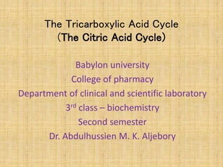 The Tricarboxylic Acid Cycle
(The Citric Acid Cycle)
Babylon university
College of pharmacy
Department of clinical and scientific laboratory
3rd class – biochemistry
Second semester
Dr. Abdulhussien M. K. Aljebory
 