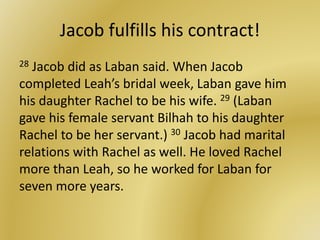 Jacob fulfills his contract!
28 Jacob did as Laban said. When Jacob
completed Leah’s bridal week, Laban gave him
his daughter Rachel to be his wife. 29 (Laban
gave his female servant Bilhah to his daughter
Rachel to be her servant.) 30 Jacob had marital
relations with Rachel as well. He loved Rachel
more than Leah, so he worked for Laban for
seven more years.
 