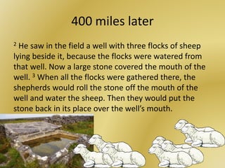 400 miles later
2 He saw in the field a well with three flocks of sheep
lying beside it, because the flocks were watered from
that well. Now a large stone covered the mouth of the
well. 3 When all the flocks were gathered there, the
shepherds would roll the stone off the mouth of the
well and water the sheep. Then they would put the
stone back in its place over the well’s mouth.
 