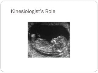 Kinesiologist’s Role
 