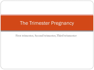 First trimester, Second trimester,Third trismester
The Trimester Pregnancy
 
