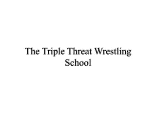 The Triple Threat Wrestling
          School
 