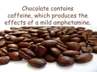 Chocolate contains
 caffeine, which produces the
effects of a mild amphetamine.
 