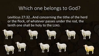 Which one belongs to God?
Leviticus 27:32…And concerning the tithe of the herd
or the flock, of whatever passes under the rod, the
tenth one shall be holy to the LORD.
 